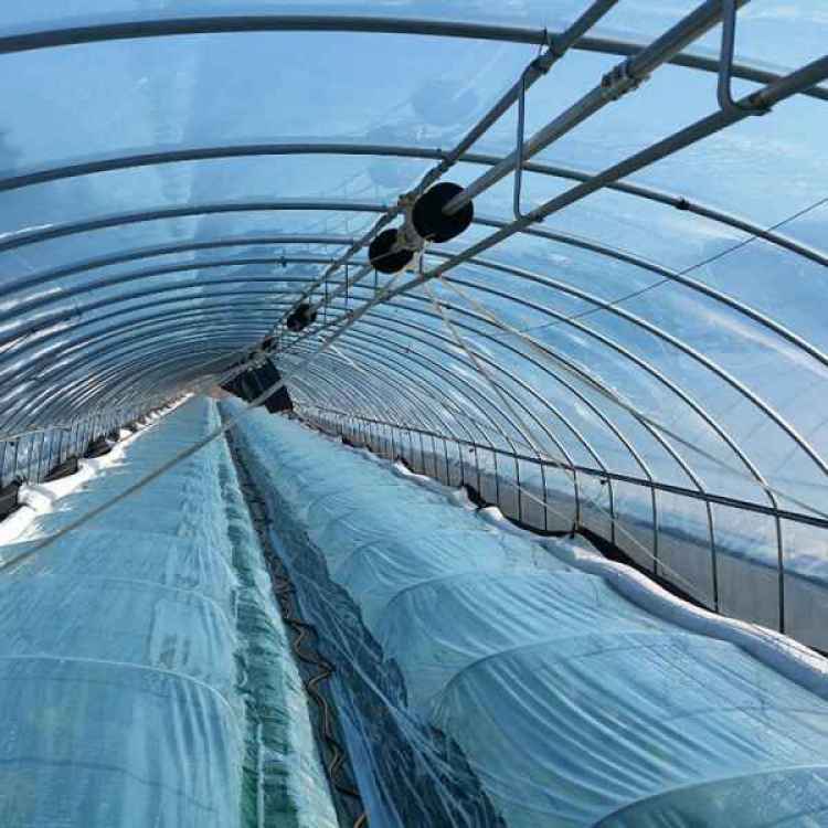 泰安無滴膜生產與塑料農膜加工 科技助農新引擎